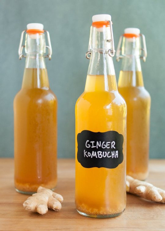 Why Kombucha Drinks Are the Ultimate Organic Food