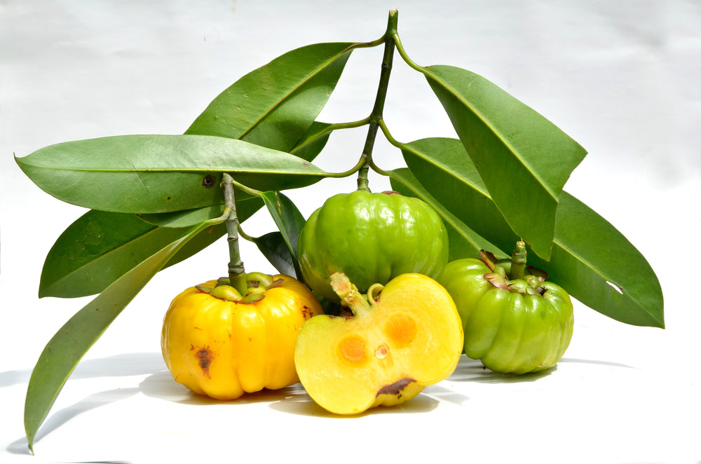 How To Enhance The Weight Loss Effects Of Garcinia Cambogia