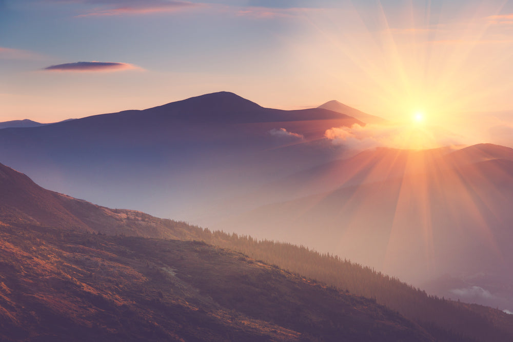 Is Your Vitamin D Supplement Doing Enough?