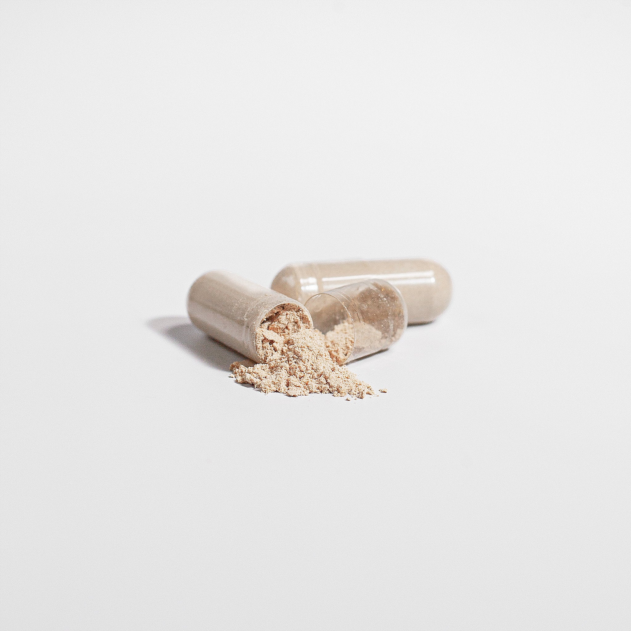Adaptozen Mind Fuel Premium Grade Lion's Mane Mushroom