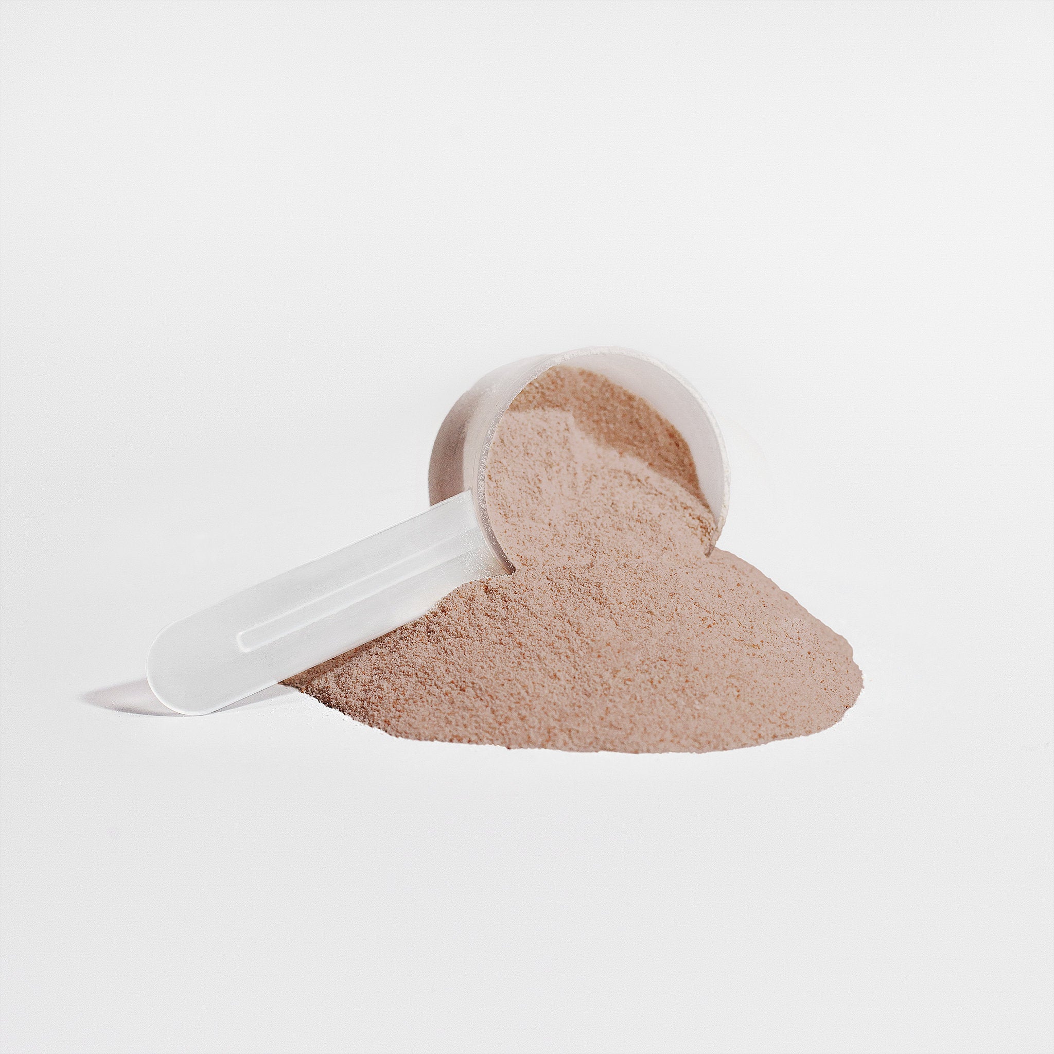 NutriRise Pro Plant Vegan Protein Powder (Cocoa Bomb)