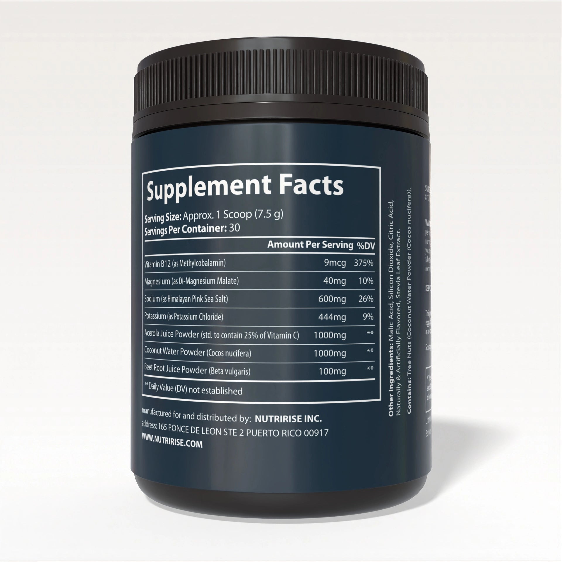 NutriRise ION — Quantum Ice | Ultra-Bioavailable Electrolyte Fuel