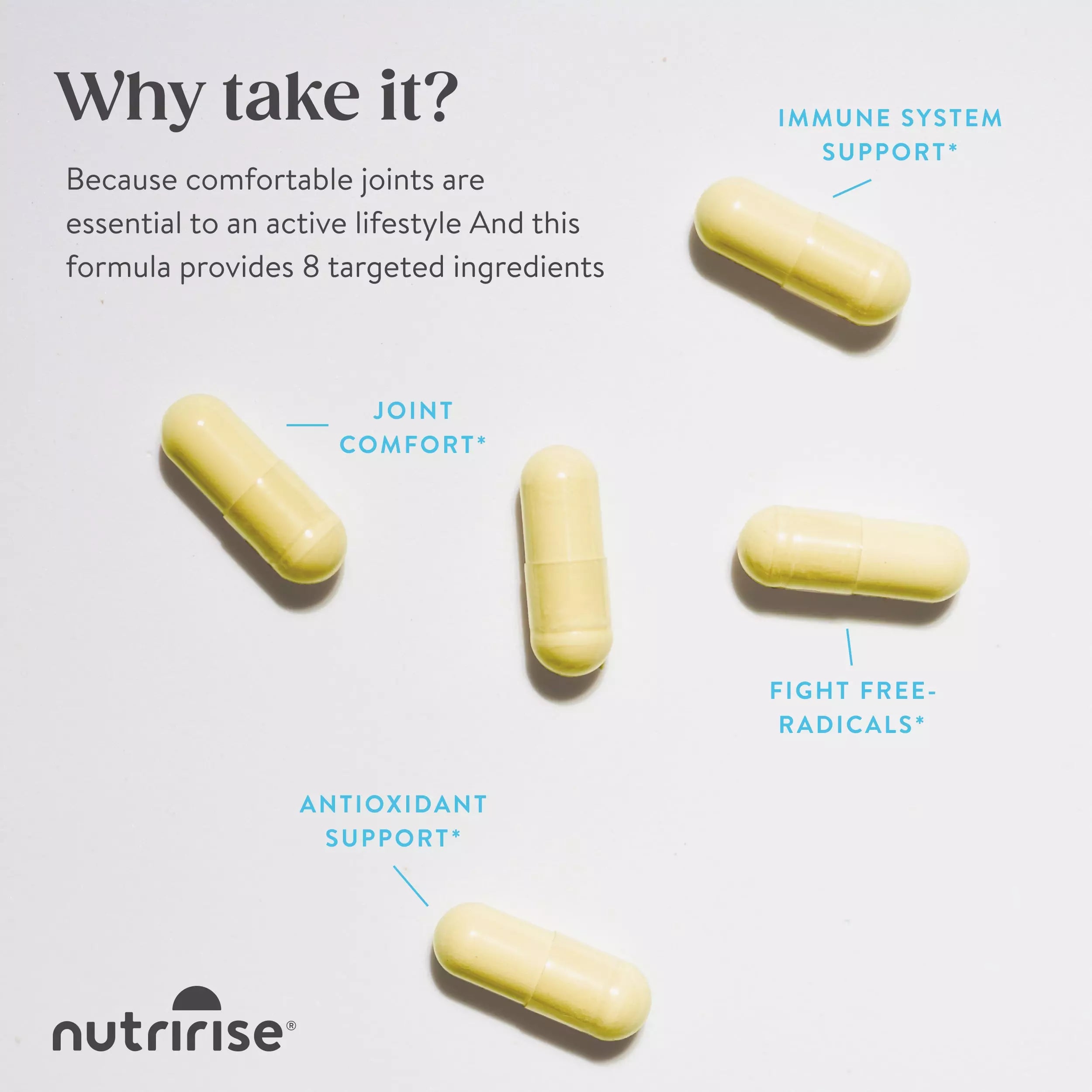 Glucosamine Chondroitin MSM - NutriRise