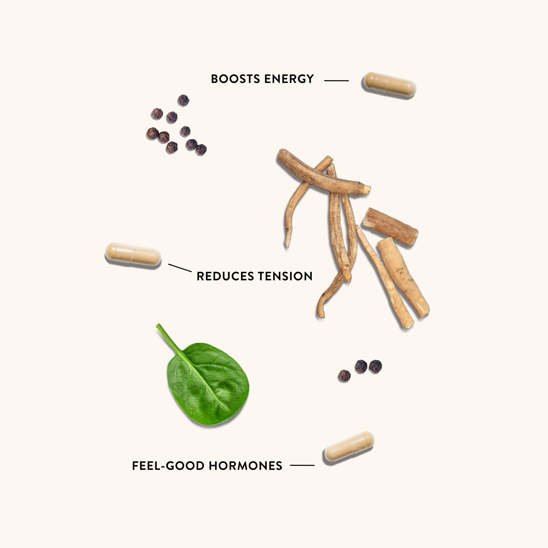 Ashwagandha Root: 1300 MG - NutriRise