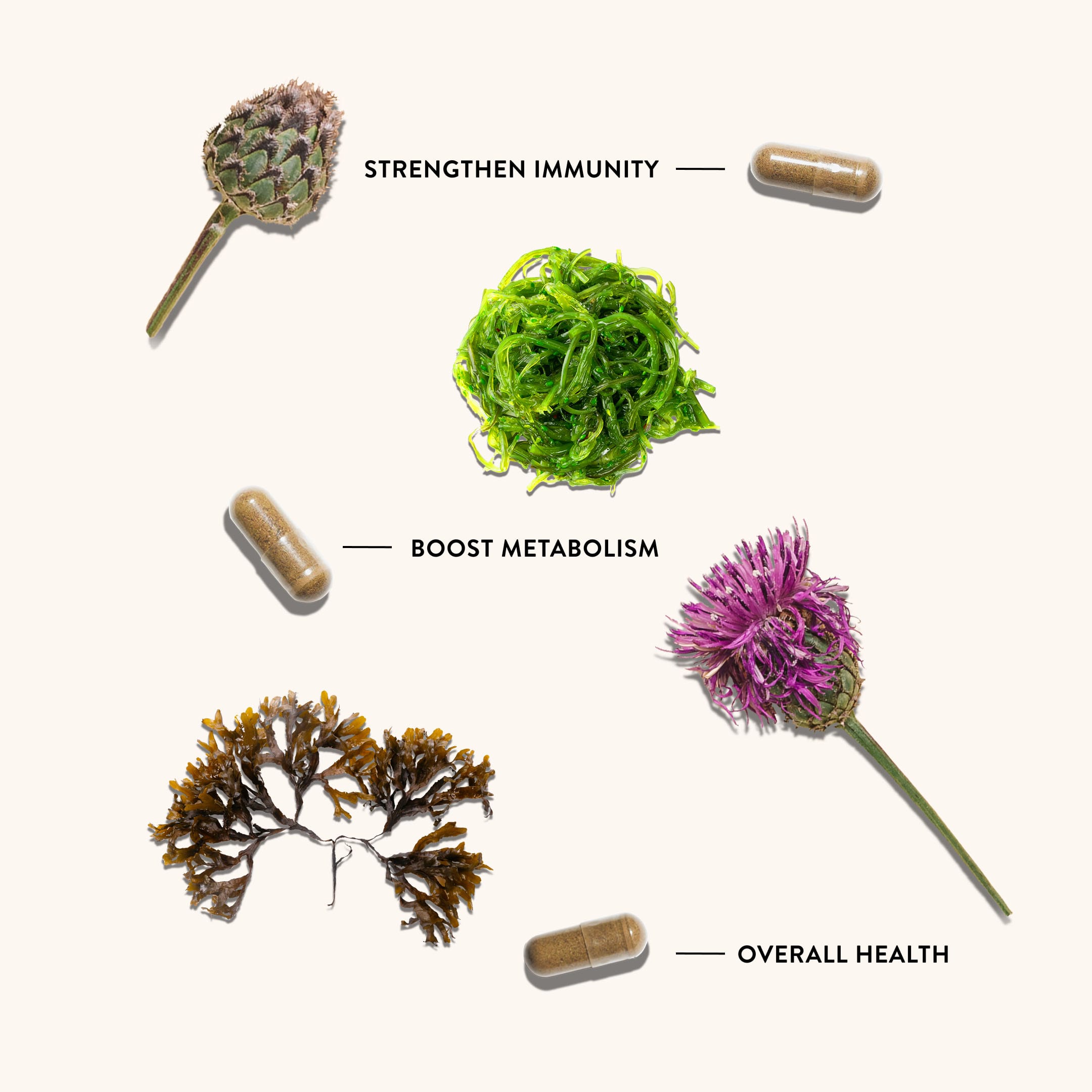 Irish Sea Moss Complex - NutriRise