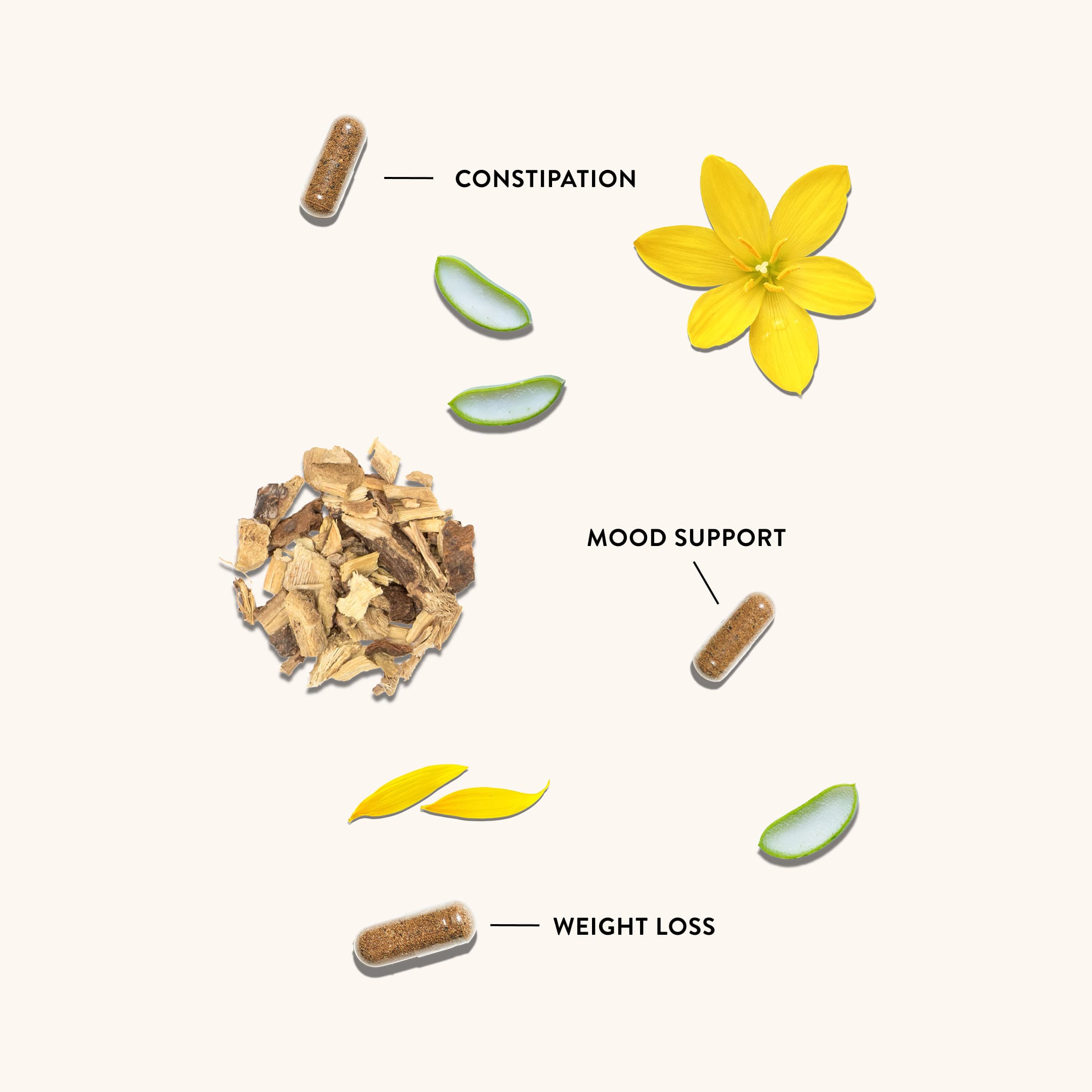 15-Day Rapid Cleanse - NutriRise