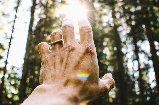 Ashwagandha and Mental Health: Your Science-Backed Path to Balance