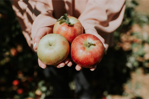 Apple Cider Vinegar Vs. White Vinegar: Differences, Benefits, Pros & C