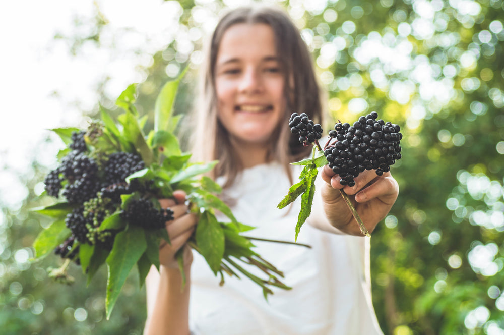 Boost your Immune System with Elderberry Gummies