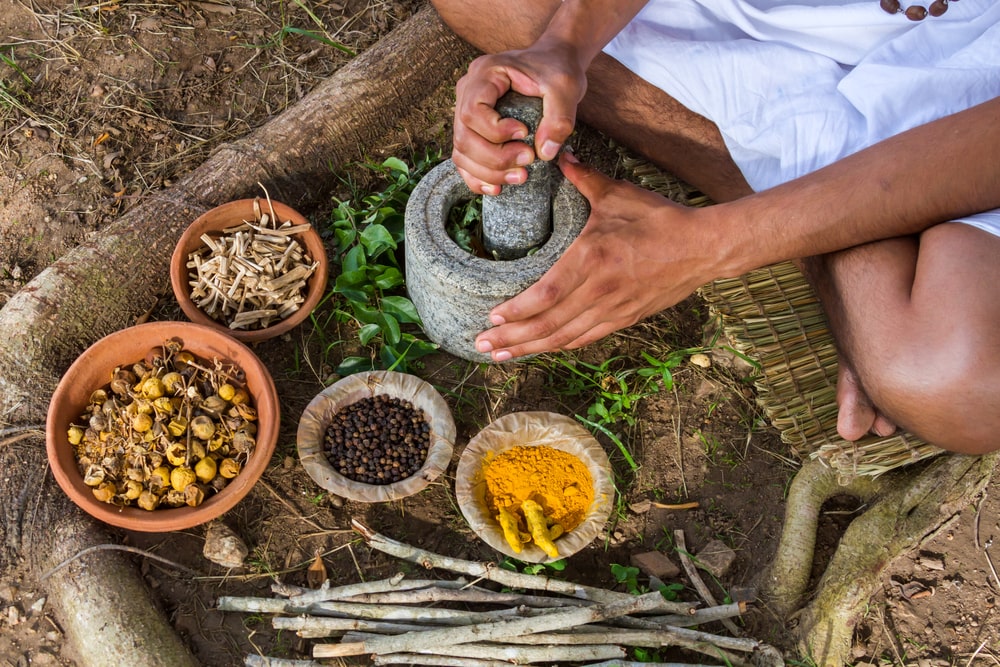 A Beginner’s Guide to Ayurveda & The Doshas