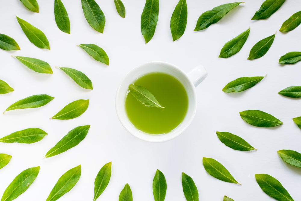 The Incredible Health Benefits of Green Tea For Weight Loss, Cardiovascular Health & More!